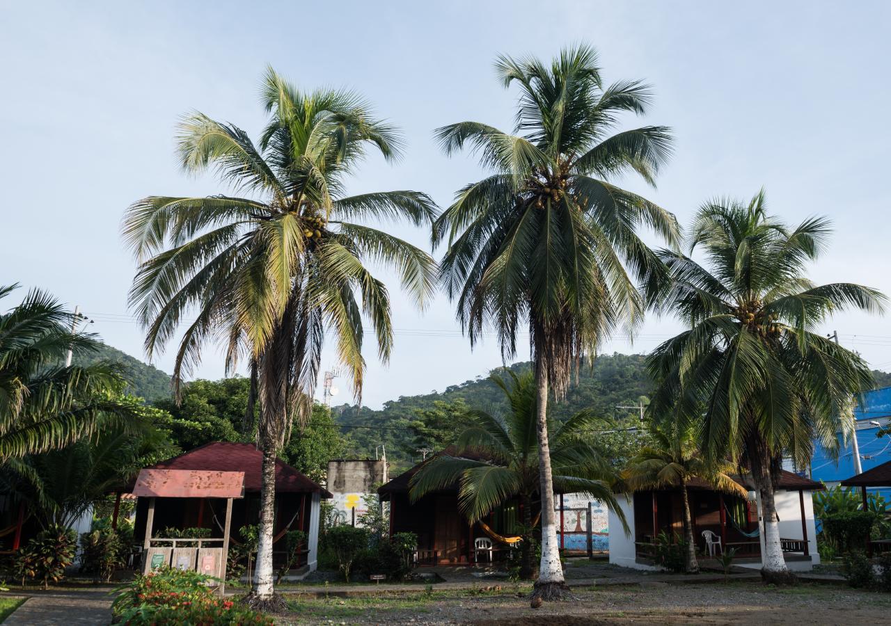 Tacarcuna Lodge Capurganá Eksteriør billede
