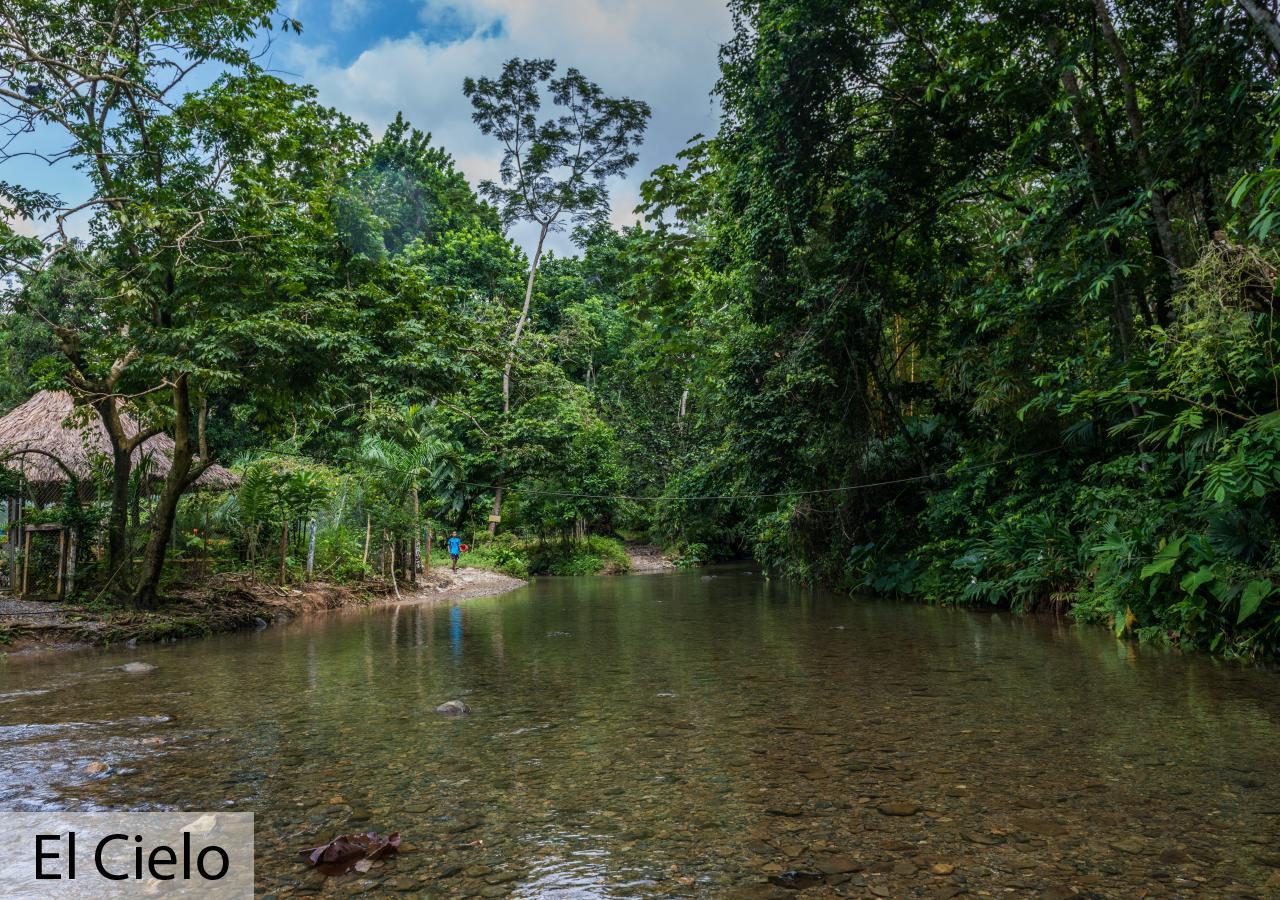 Tacarcuna Lodge Capurganá Eksteriør billede