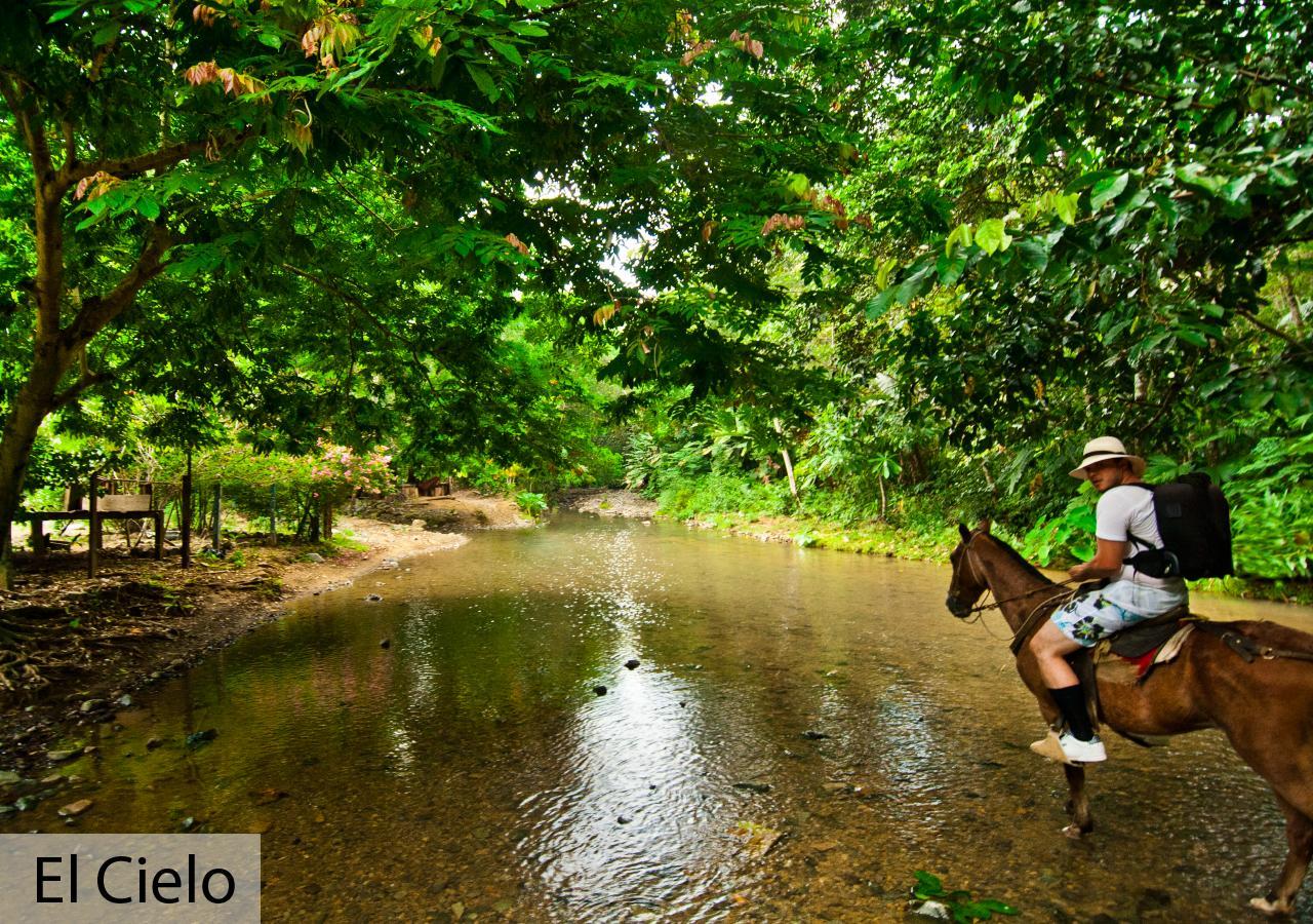 Tacarcuna Lodge Capurganá Eksteriør billede