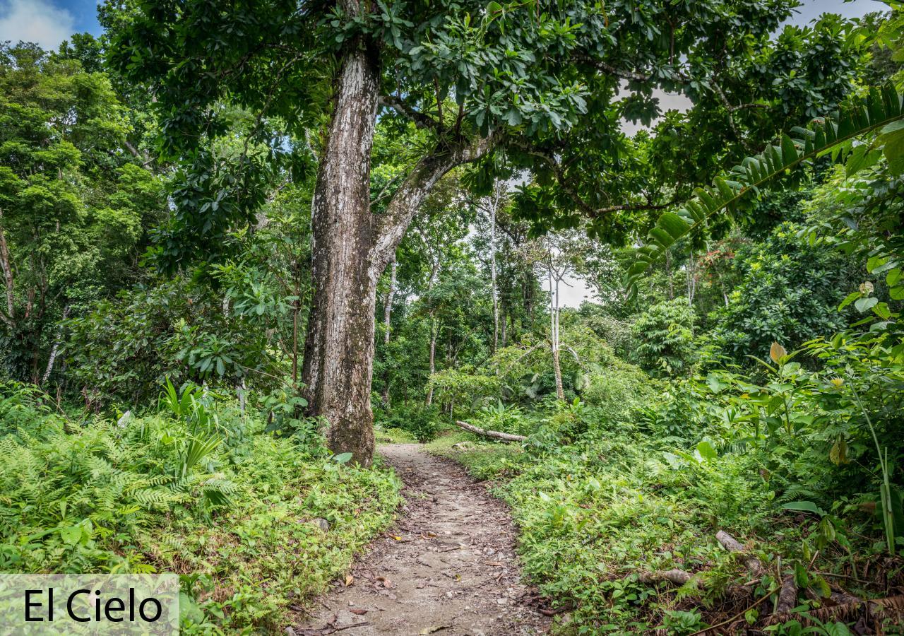 Tacarcuna Lodge Capurganá Eksteriør billede