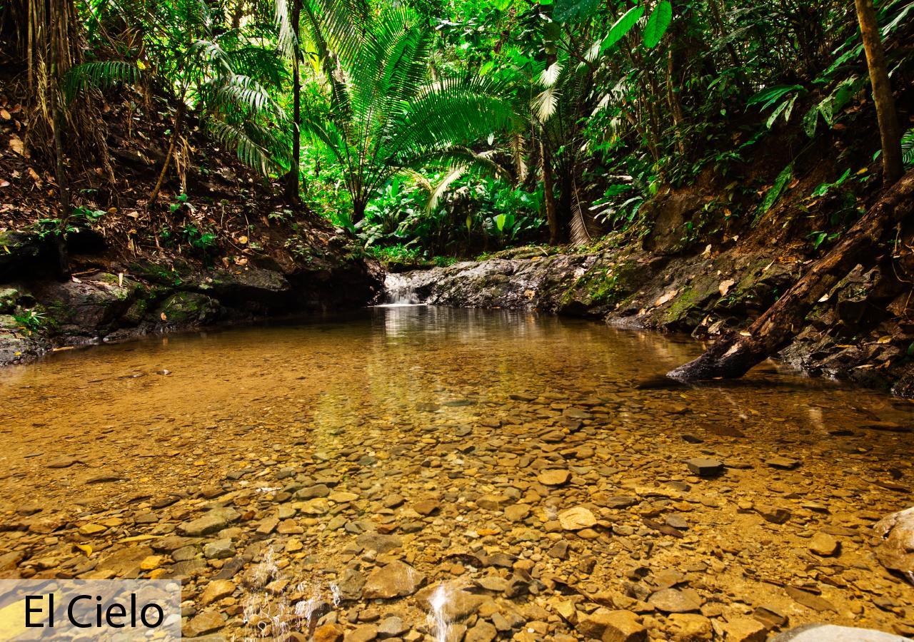 Tacarcuna Lodge Capurganá Eksteriør billede